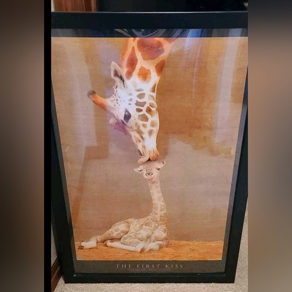 Giraffe poster *frame not included